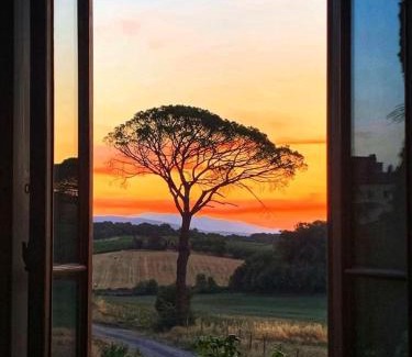 Bucine Lit Et Petit-Déjeuner | Casa le Rondini Toscana