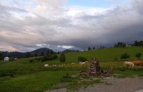 Dorna Candrenilor Maison | CASA LENA -VATRA DORNEI