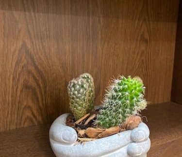 Ceva Appartement | Casa Leopoldo