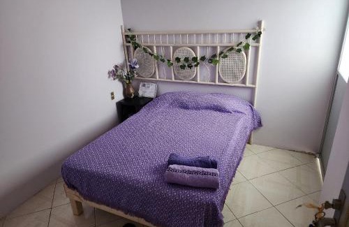 Tehuacan Appartement | Casa Libélula