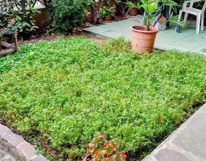 Pantigliate Appartement | Casa loto