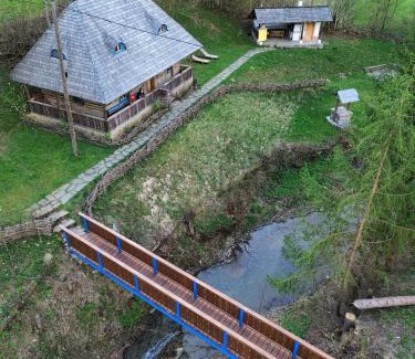 Viseu de Sus Maison | Casa lu' Ion