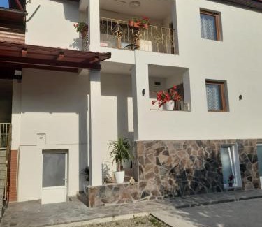 Viseu de Sus Maison | Casa M&M