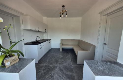 Iasi Appartement | Casa Marisor Grădină Botanica