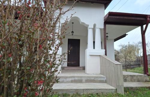 Valcea Maison | Casa Michel