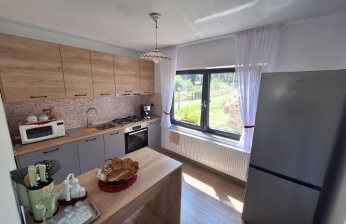 Bistrita Bargaului Maison | Casa Mihali Colibița