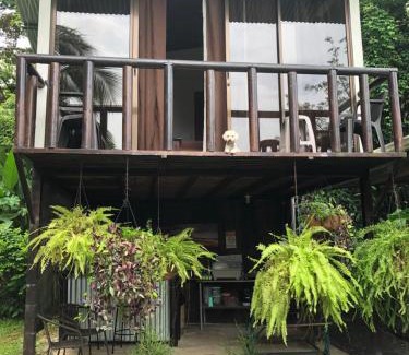 Uvita Cabine | Casa Morpho Uvita Guesthouse