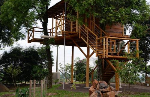 Joao Alves Maison | Casa na Árvore
