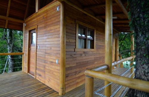 Joao Alves Maison | Casa na Árvore