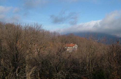 Osiglia Maison | Casa nel bosco
