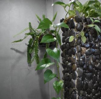 Bijagua Appartement | Casa Nimbu Rainforest