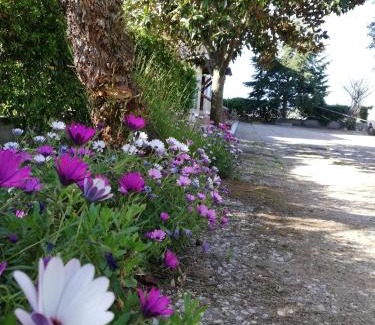 Sperlonga Appartement | Casa Noemi