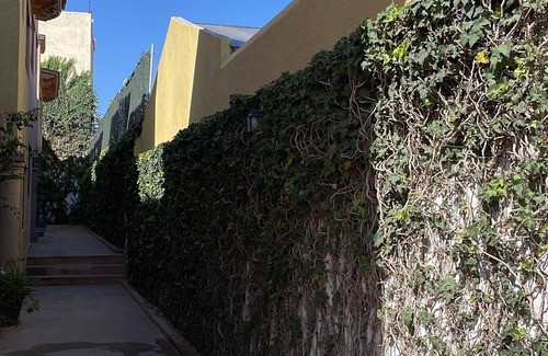 Centro Maison | Casa Olivo. Encantador lugar en Centro Tequis 6p