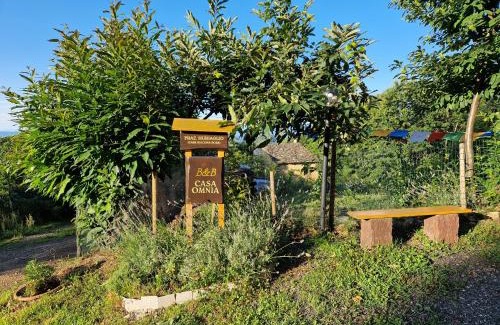 Castellamonte Lit Et Petit-Déjeuner | Casa Omnia B&B