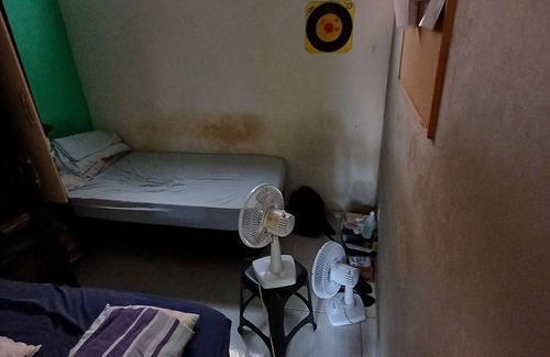 Parafuso Maison | Casa Para Passar a Chuva