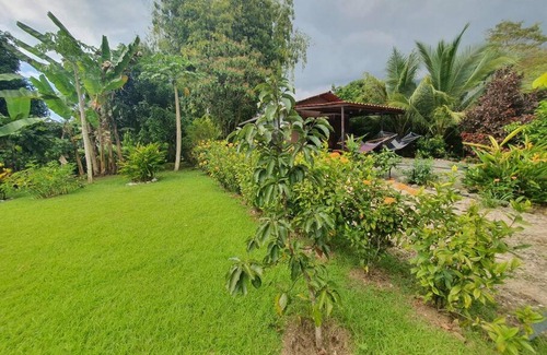 Ciudad Cortes Maison | CASA PALMERAS - peaceful mountain view