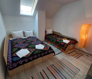 Cartisoara Maison | Casa Pandrea