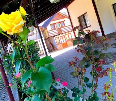 Viseu de Sus Maison | Casa Paul