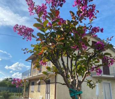 Marina di Massa Maison | Casa per Vacanze