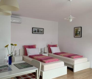 Sinpetru Maison | Casa Petri