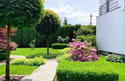 Sinpetru Maison | Casa Petri