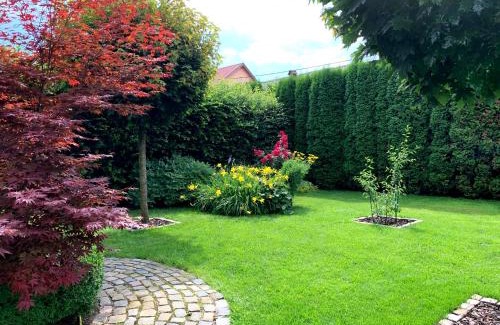 Sinpetru Maison | Casa Petri