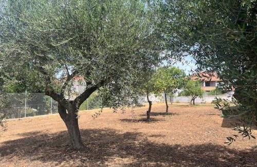 Anemomilos Maison | Casa Plati 2