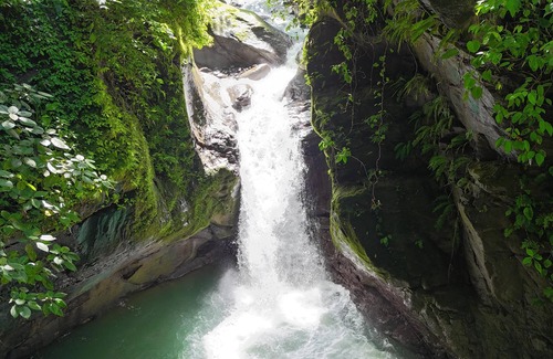 Dominical Copropriété | Casa Quetzal: Jungle Retreat