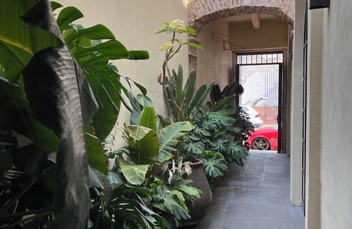 Downtown Queretaro Maison | Casa Realm en el Corazon de Queretaro, un Lugar con Estilo y Confort