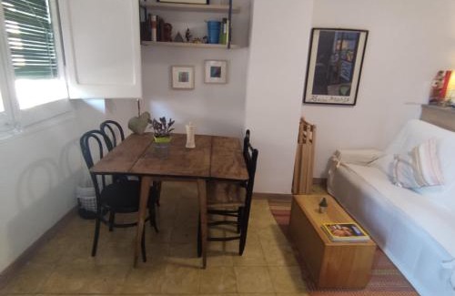 Salas de Pallars Appartement | Casa Rius
