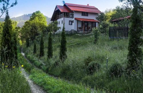 Viseu de Sus Maison | Casa Roman