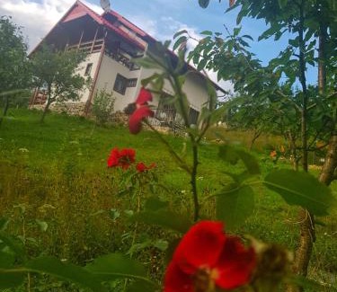 Viseu de Sus Maison | Casa Roman