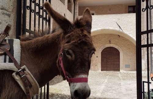 Tione degli Abruzzi Appartement | Casa Rondinella: Cozy apartment in an 18th century palazzo