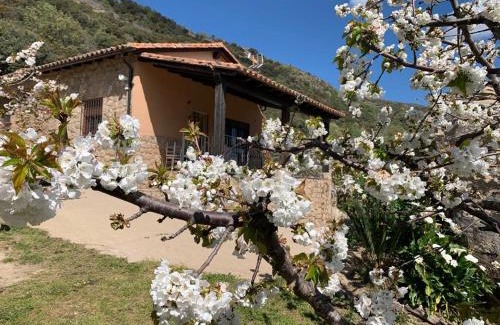 El Torno Maison | Casa Rural Canchal Madroñeras *