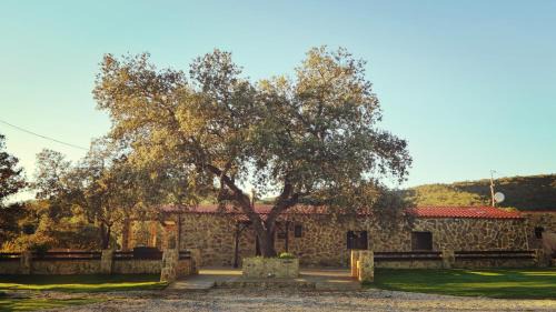 Llerena Maison | Casa Rural con skatepark y piscina " La Quijada del Lobo "