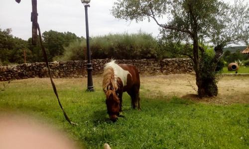 Acebo Maison | Casa Rural El Pilar