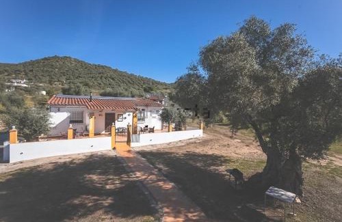 Jerez de los Caballeros Maison | Casa Rural Los Naranjo