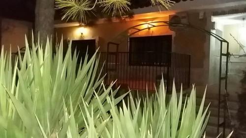 La Almarcha Maison | Casa Rural la Veguilla