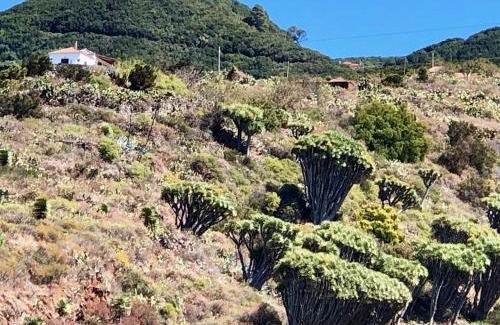 Santo Domingo Maison | Casa Rural Los Barranquitos