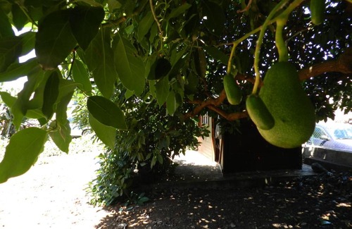 Puntallana Maison | Casa Rural María Cruz