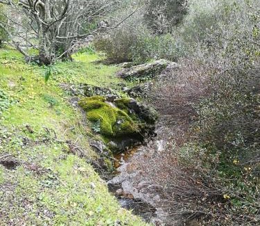 Alcolea del Rio Maison | Casa Rural Mesa del Lobo Perita