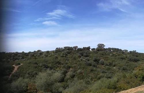 Alcolea del Rio Maison | Casa Rural Mesa Del Lobo Cabrahigo