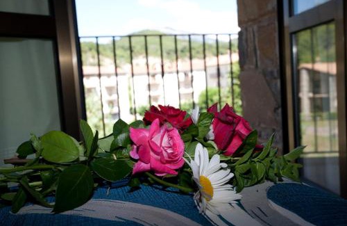 Puertolas Appartement | Casa Rural Sofia Ordesa