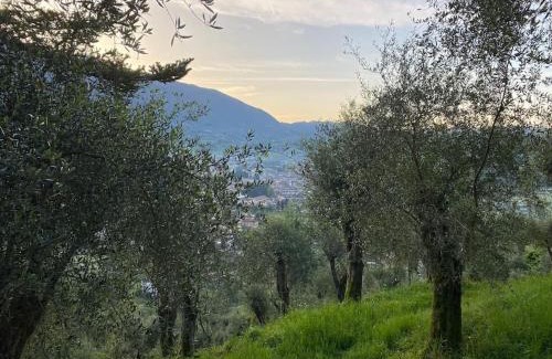 Camaiore Maison | Casa Rurale in mezzo al verde