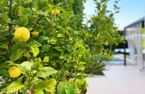 Puig de Ros Maison | Casa Schaefer - Wunderschönes Haus mit Pool in der Nähe von Palma