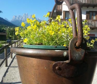 Mezzano Appartement | Casa Simion