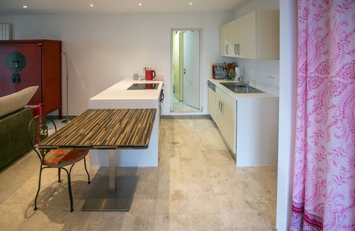Tenero-Contra Appartement | Casa Soleil Apartment Rosa Rossa with magnificent lake view, with dog welcome