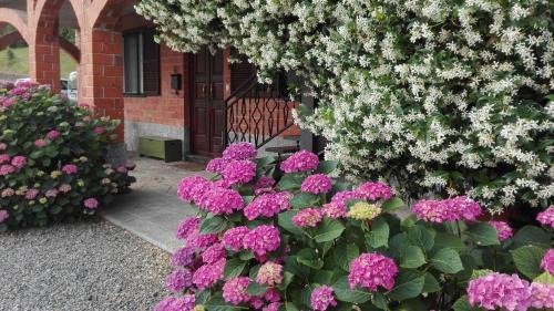 Acqui Terme Appartement | Casa Statiella