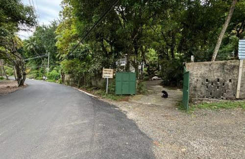 Montezuma Maison | Casa Susen
