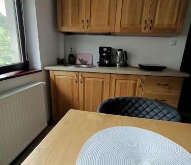 Chiscau Appartement | Casa Tâmplarului